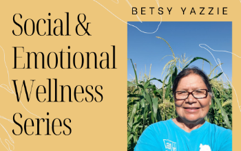 Social Emotional Wellness Series