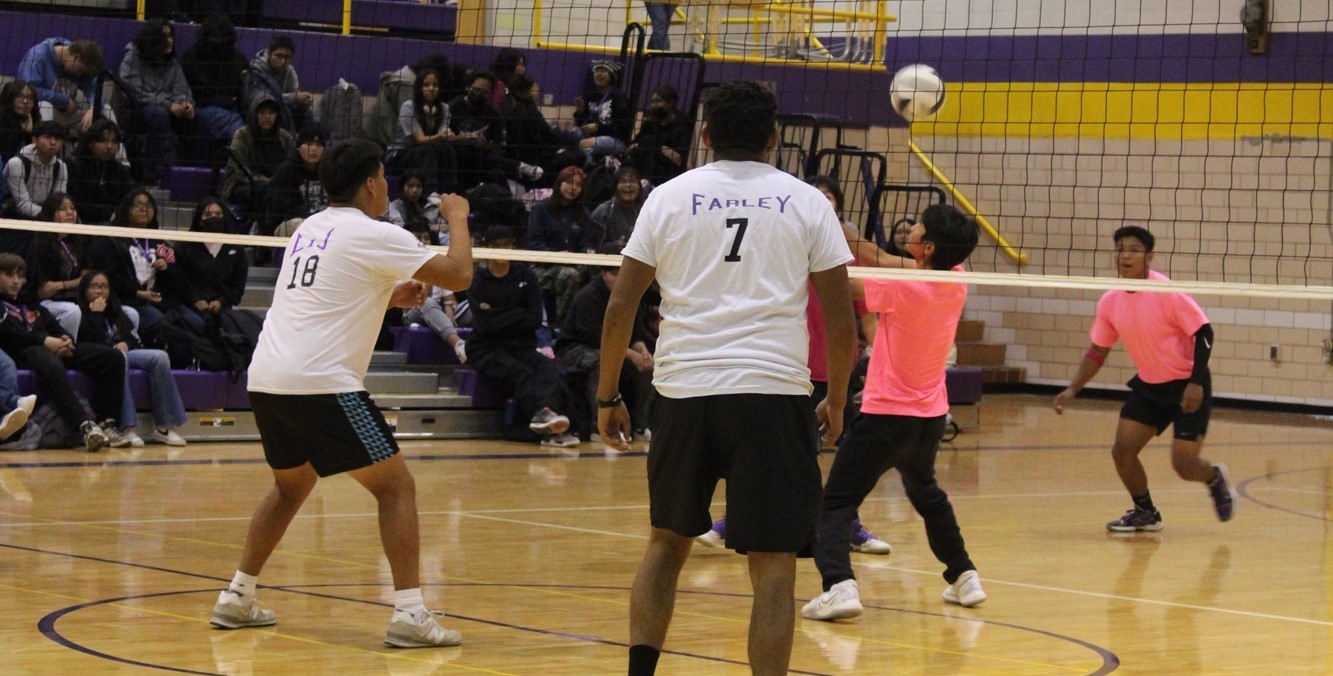 Peach Fuzz Volleyball Game