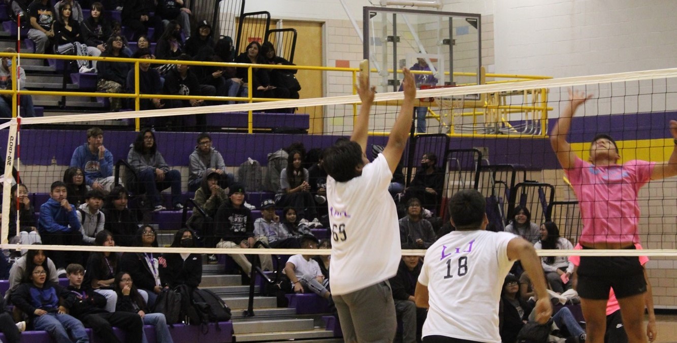 Peach Fuzz Volleyball Game